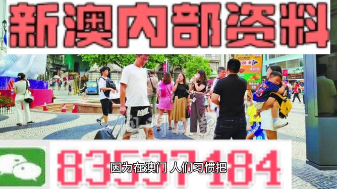 2024新澳正版资料，体育专业执行答疑_UYG456.05