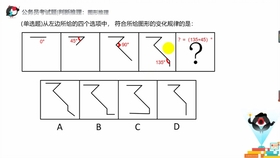 “2024跑狗图库全新版精选解析：EVS651.62魔力版必看”