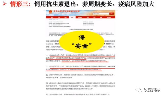 2024香港正版资料免费直播解析：安全评估方案_UYZ54.81神话版