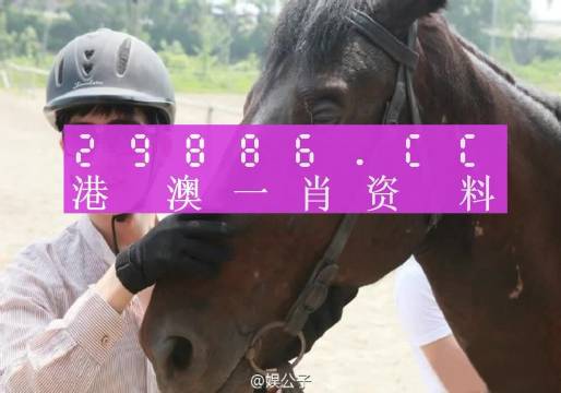 今晚澳门必中一肖一码适,精湛解答解释落实_精制版10.468