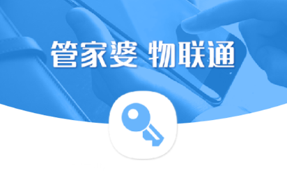 管家婆精准资料免费大全186期,高效实施策略设计_2DM62.210