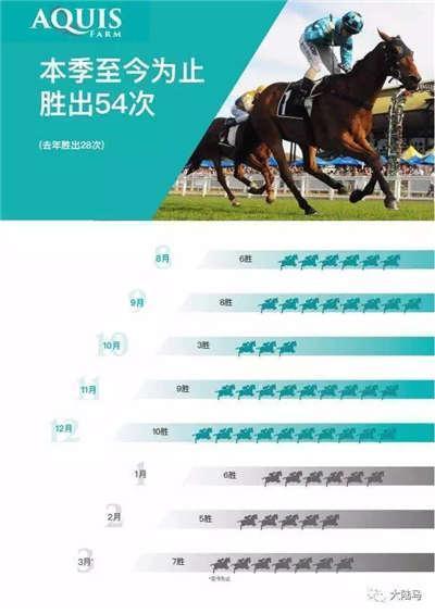 2024澳门马今晚开奖记录,本届赛事共有来自世界各地的优秀赛马和骑师参赛