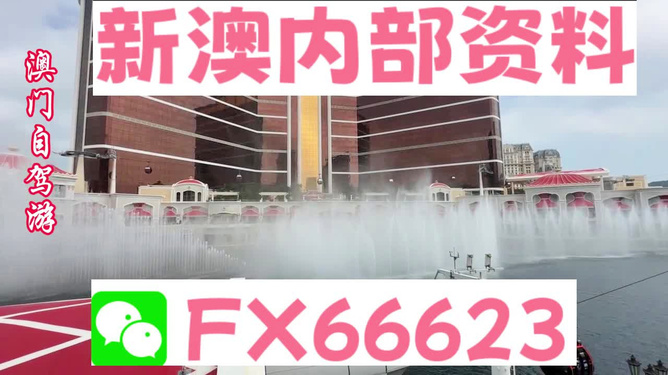 新澳内部资料精准一码免费,高效计划设计实施_理财版16.342