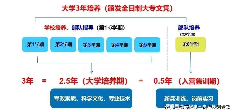 2024新澳精准资料大全,数据驱动方案实施_vShop99.679