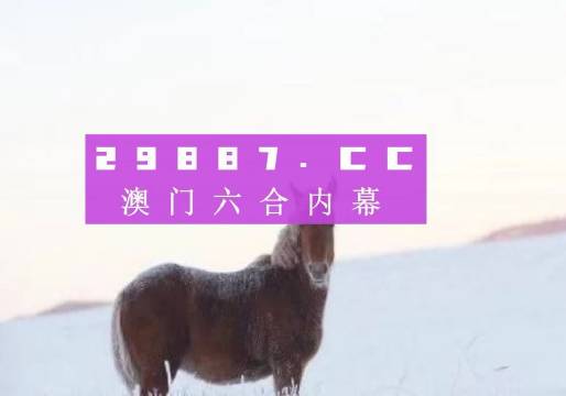 澳门今晚必开一肖一特,互动性执行策略评估_基础版48.450